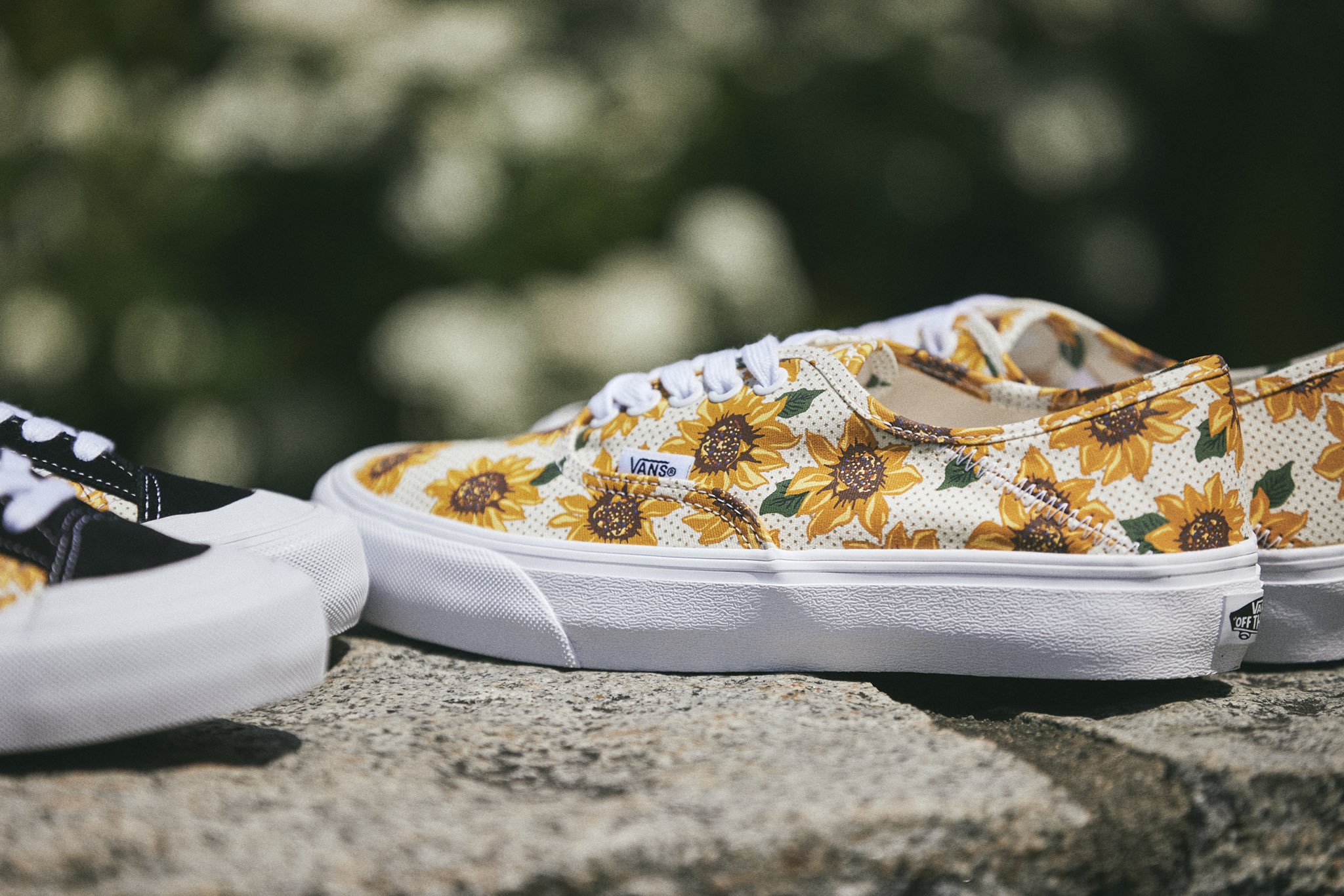 VANS_JP (@VANS_JAPAN) / X