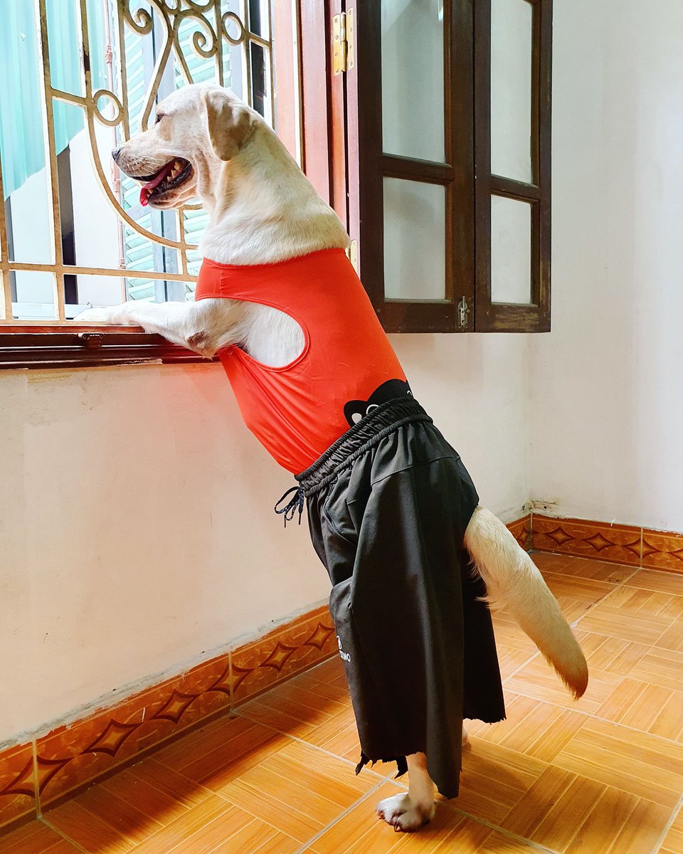 AT58492547's tweet photo. mẹ mãi chưa thấy về https://t.co/FrLGhultYI