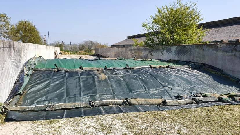 DEMEURESolution's tweet photo. 🐮Patrice &amp; Patrick Techniciens Nutrition Animale 

Ensilage d’herbe avec SORBENSYL (additif biotechnologique) &amp; SEAL PLUS (film oxygène barrière)

Nos techniciens seront à votre écoute lors de notre journée IDS le 25 Juin, pour argumenter sur cette méthode de conservation https://t.co/fAhKxxyxVS