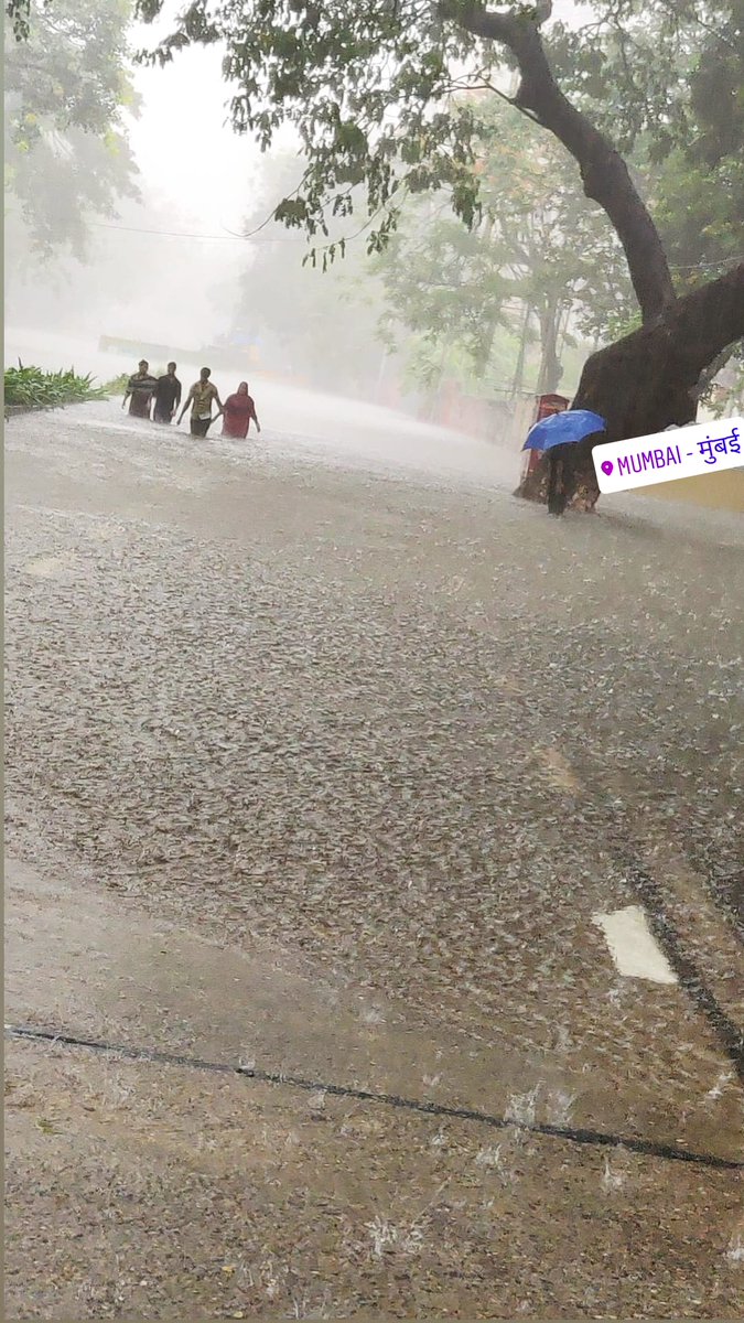 DevkateNisha's tweet photo. #Bandra #rains @bandrabuzz @BandraOnline @BandraWestPix @mybandra_mumbai https://t.co/nSYY8b4daV