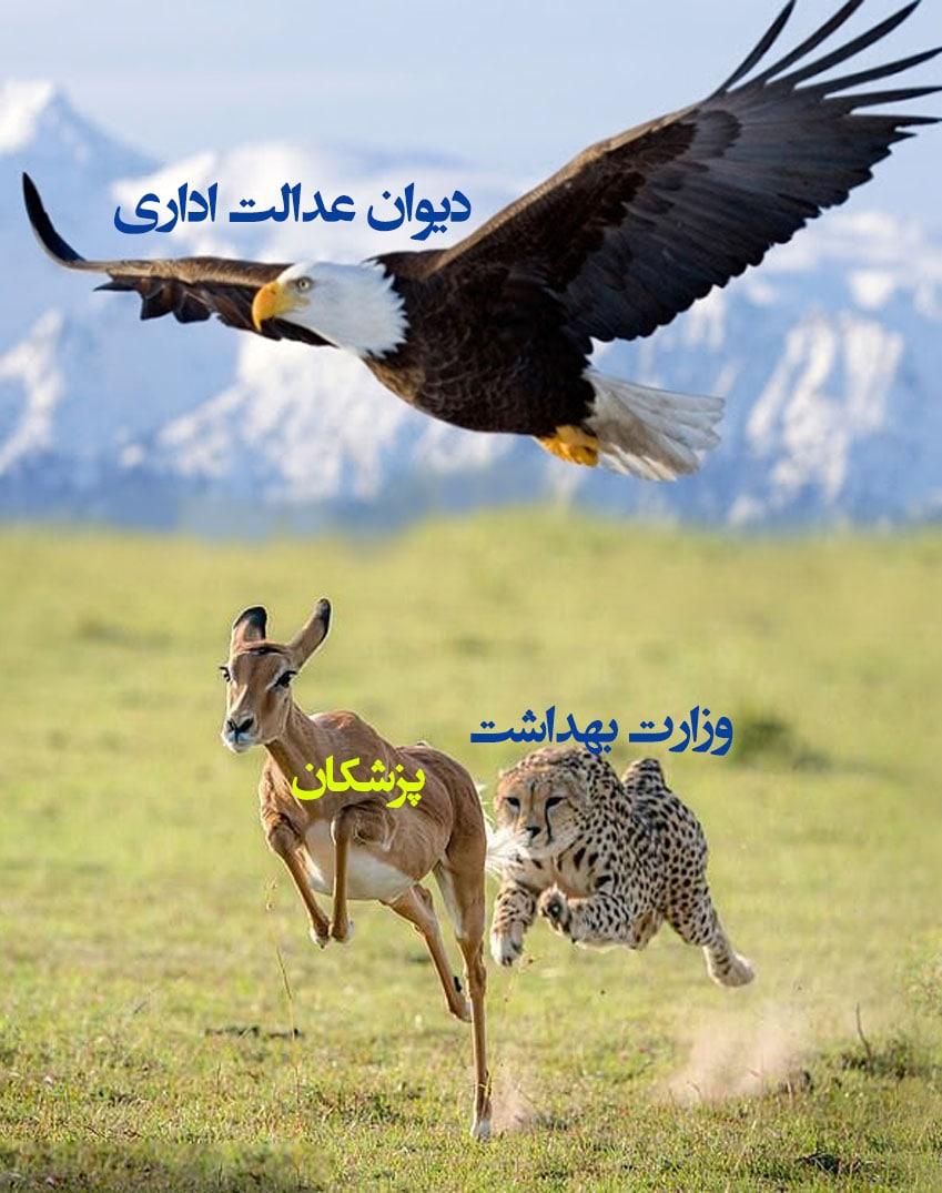 DrTeimourzadeh's tweet photo. آقای وزیر بهداشت یا خودت را آماده کن با مدیران معاونت آموزشی ‌در #دادسرای_ویژه_کارکنان_دولت حاضر شوی یا به رفع ظلم و بی‌عدالتی در باره #قانون_کار_رزیدنتها و #لغو_آزمون_ارتقا_و_گواهینامه_دستیاری و #آزمون_استخدامی و #تاریخ_دستیاری۴۸ و #تخلفات_دستیاری۴۹ اهتمام بورز.
#نمکی_بیدار_شو https://t.co/Z0C310CiBH