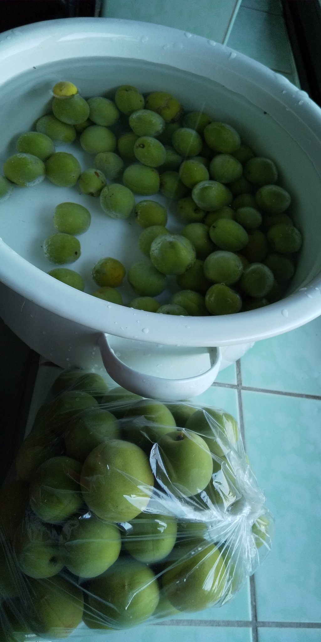 ゆうわ あいき キレイな梅の実はとれたて野菜のお礼にご近所さんへ 後は梅シロップように水につけて一晩アク抜き T Co 6lk5ot9qds Twitter