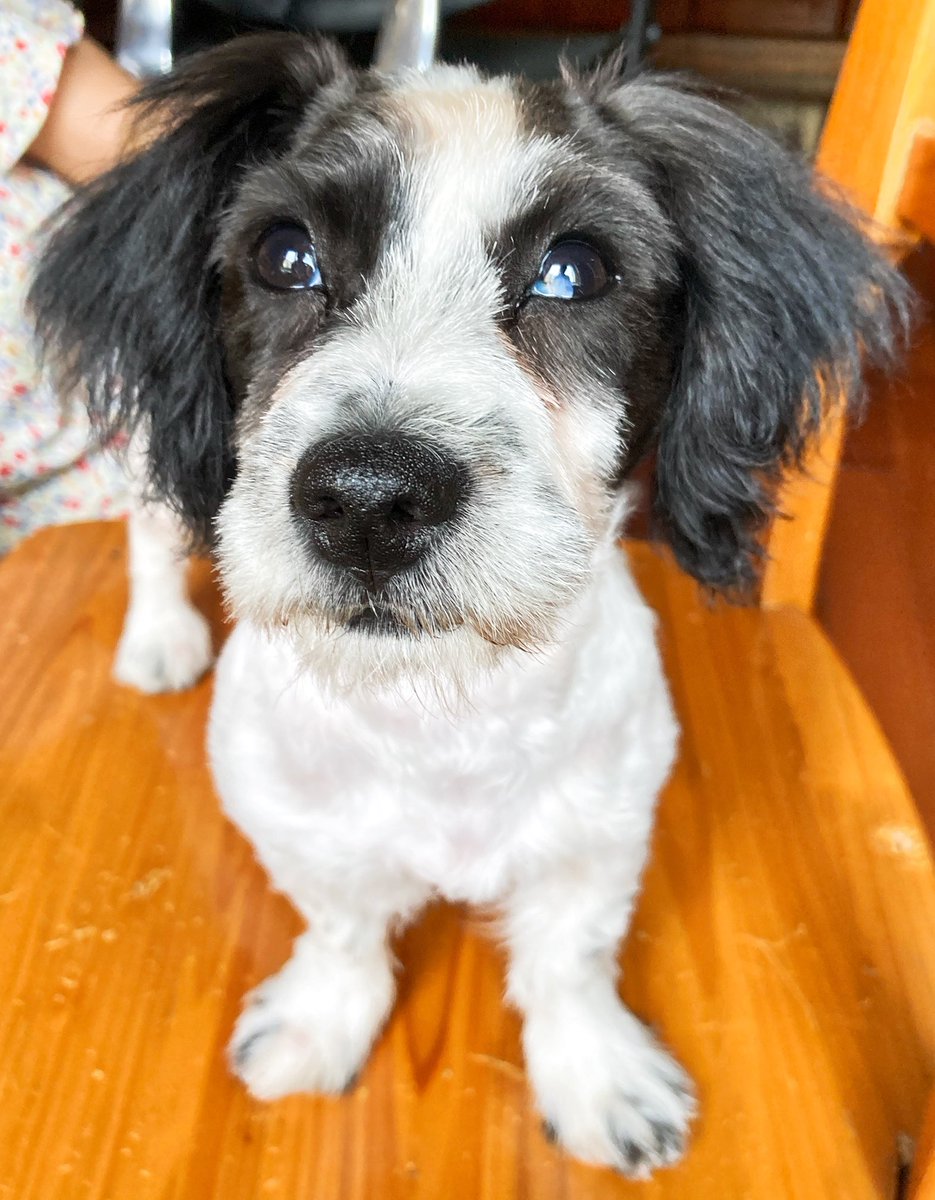 Y Y U Yuu960616 Twitter