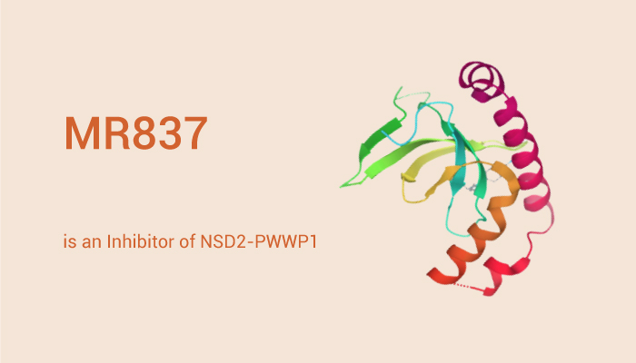 MedChemExpress's tweet photo. #MR837 is an inhibitor of #NSD2-PWWP1. MR837 can bind with human nuclear receptor binding SET domain protein 2 (#PWWP domain). #drugdiscovery. https://t.co/DwI01ftVRI https://t.co/MvftINSyVo