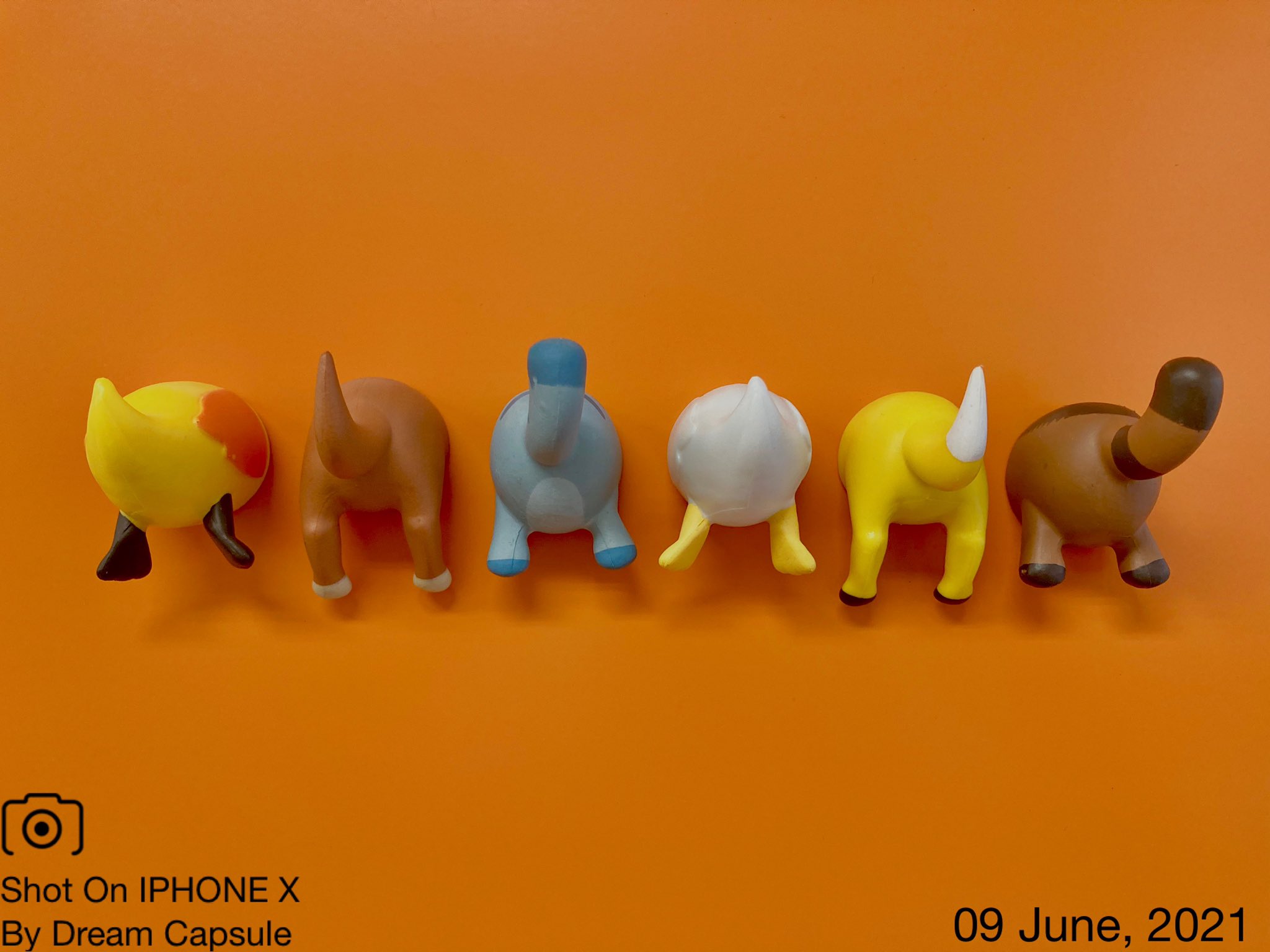 ドリームカプセルの中の人 公式 6月のプレゼントキャンペーン第15弾は 可愛い後ろ姿をくっつけよう どうぶつ おしりマグネット 全6種セットを抽選で2名様にプレゼントします 応募条件はこのアカウントをフォロー Amp リツイートしてください 続き