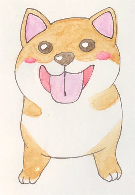 柴犬のtwitterイラスト検索結果