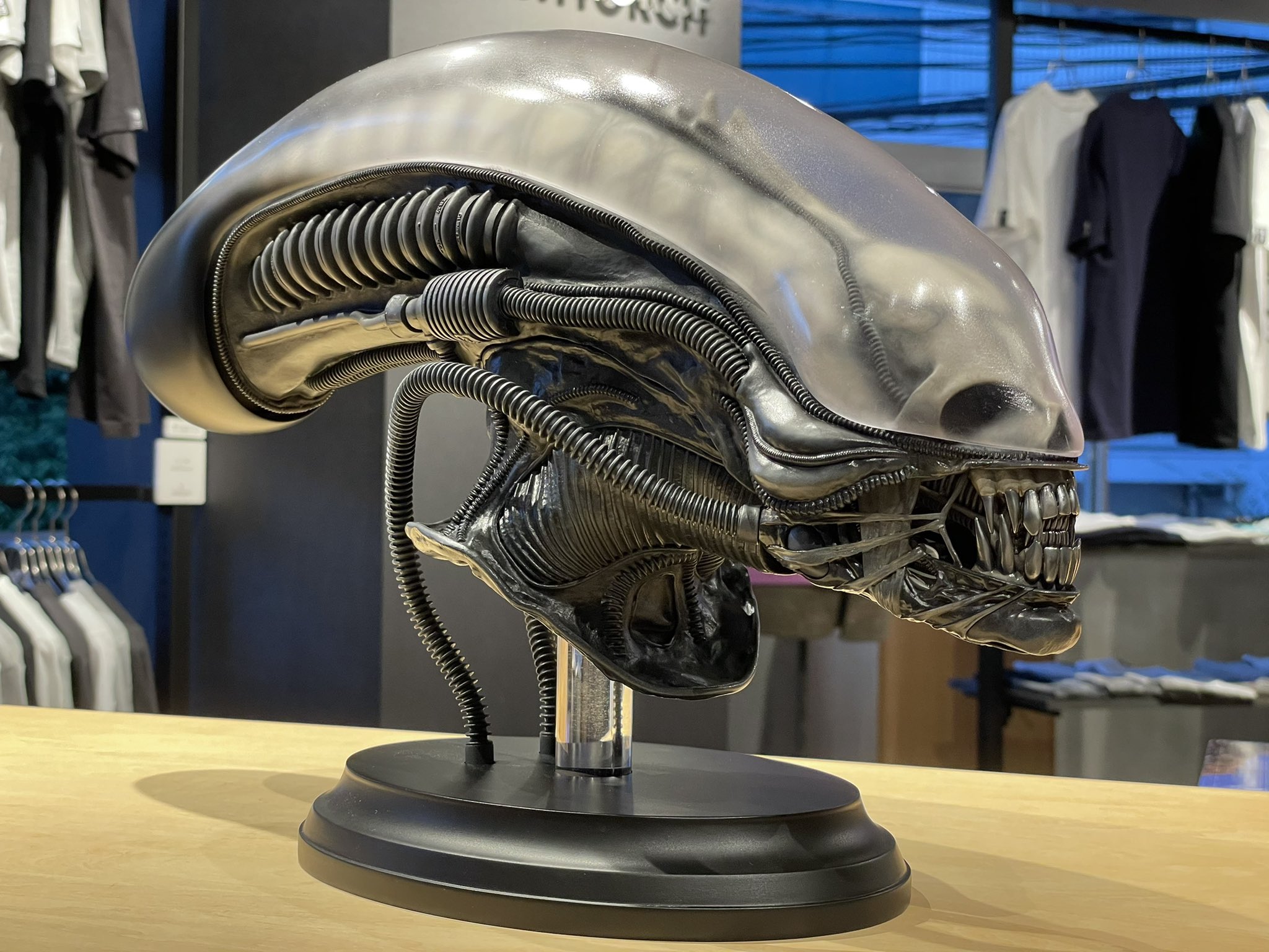 ALIEN BIG CHAP 1/2 SCALE HEAD Close Up Shot Ver.│Presented
