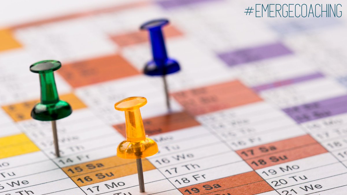 Dr Adrian Nelson-Pratt tweet media