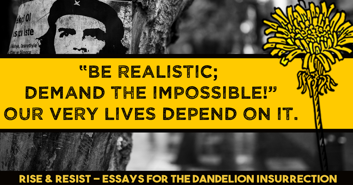 If you read The Declaration of Independence you would know that we shouldn't be thinking about an upcoming election but about a revolution.
Read the essays that inspired The Dandelion Insurrection 