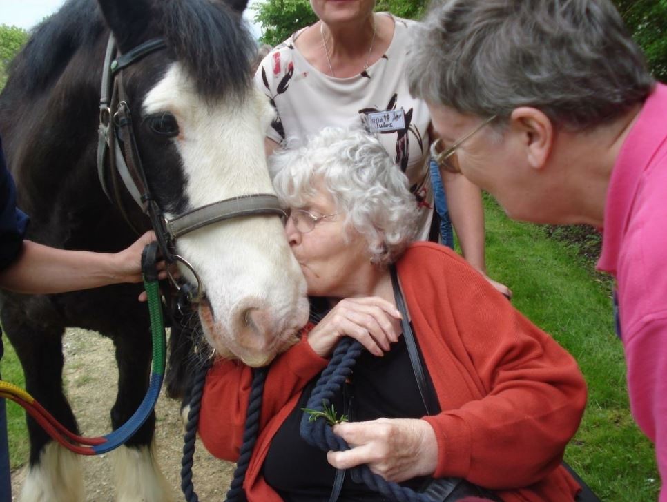 DementiaFriends's tweet photo. .@RDAnational have launched Tea With a Pony - a fantastic initiative aiming to help those living with dementia and other long term conditions who may not be able to ride horses, to benefit from animal-assisted activity, to enjoy tea and cake and to revisit memories gone by! https://t.co/wGTg8aI5A2