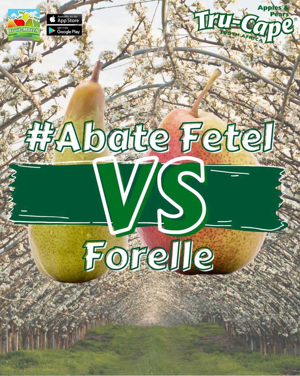 TruCapeFruit's tweet photo. Have you entered the Abate Fetel VS Forelle competition yet?
 
The competition comes to an end soon on the 14th of June so don't forget to get playing!
 
Check out Facebook for competition details! 

#Pear #TruCape #Competition #FruitMatch #AbateFetel #Forelle #win https://t.co/95gSSnr9J4