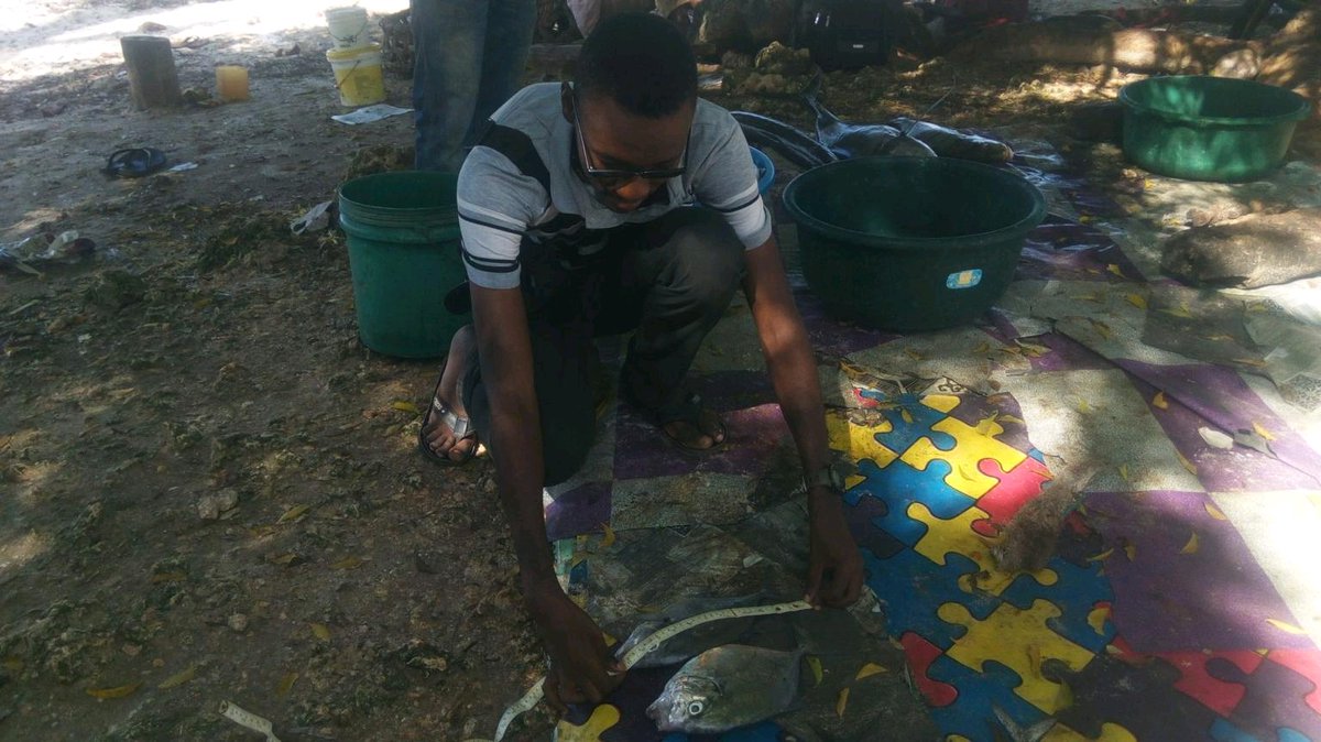 WIOECSN's tweet photo. Greetings From Tanzania !!
This was a study on the feeding ecology of the carangid spp in Kizimkaz-Zanzibar.
Happy World Ocean Day 2021!!
By @AilarsD
#Lifeandlivelihood #WOD2021 #oceandecade #oceanlovers #saveourocean #inspiration #worldoceansday2021 #oceanscience https://t.co/g7SBbzoOqr