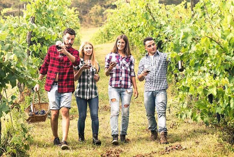 Sussex Money Savers tweet media