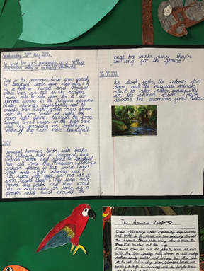 PeacehavenHAC's tweet photo. Before half term Year 5 created some amazing Amazon Rainforest setting descriptions! This was based on our book Journey to the River Sea by Eva Ibbotson. Look at our amazing work! #amazonanimals #rainforest https://t.co/kMNaJikyAO