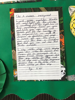 PeacehavenHAC's tweet photo. Before half term Year 5 created some amazing Amazon Rainforest setting descriptions! This was based on our book Journey to the River Sea by Eva Ibbotson. Look at our amazing work! #amazonanimals #rainforest https://t.co/kMNaJikyAO