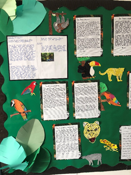 PeacehavenHAC's tweet photo. Before half term Year 5 created some amazing Amazon Rainforest setting descriptions! This was based on our book Journey to the River Sea by Eva Ibbotson. Look at our amazing work! #amazonanimals #rainforest https://t.co/kMNaJikyAO