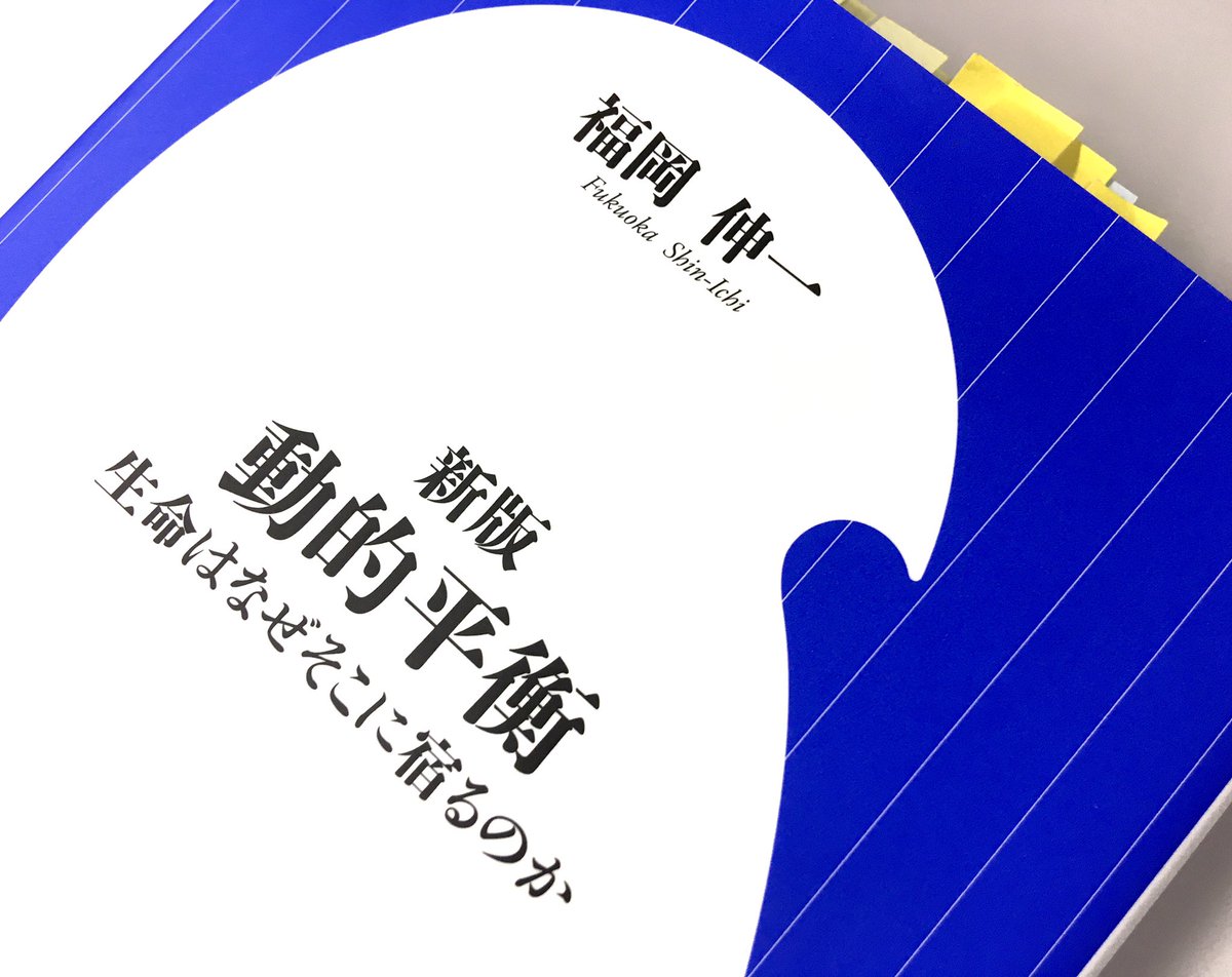 五十嵐 恵 Kei Igarashi Kei 50tempete Twitter 五十嵐 恵 Kei Igarashi Kei 50tempete Twitter