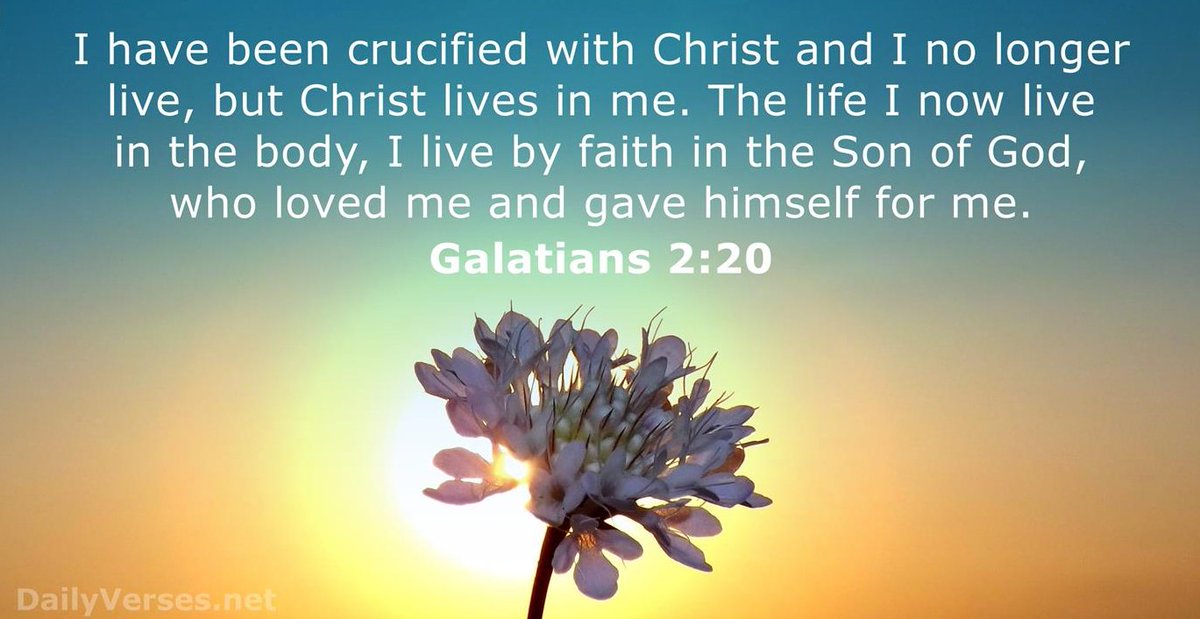 #VerseOfTheDay for Wednesday, June 9, 2021
✟
“I am crucified with Christ: nevertheless I live; yet not I, but Christ liveth in me: and the life which I now live in the flesh I live by the faith of the Son of God, who loved me, and gave himself for me.”
Galatians 2:20 (KJV)