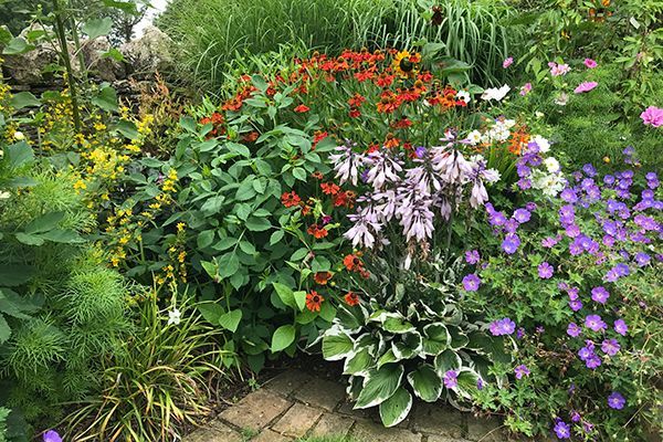 Look at what happens when you give flowers space! We learnt too little space meant plants suffered and too much space made the garden look a bit sparse. Top planting tip; leave enough space between plants to maximise chances of healthy plants

#genusgardenwear #plantspace #plant