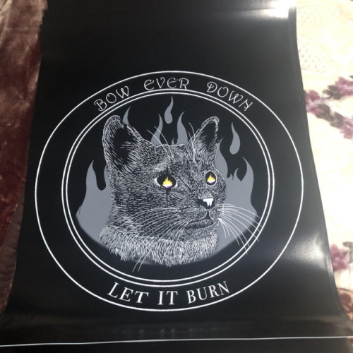 Music Eternal tweet media