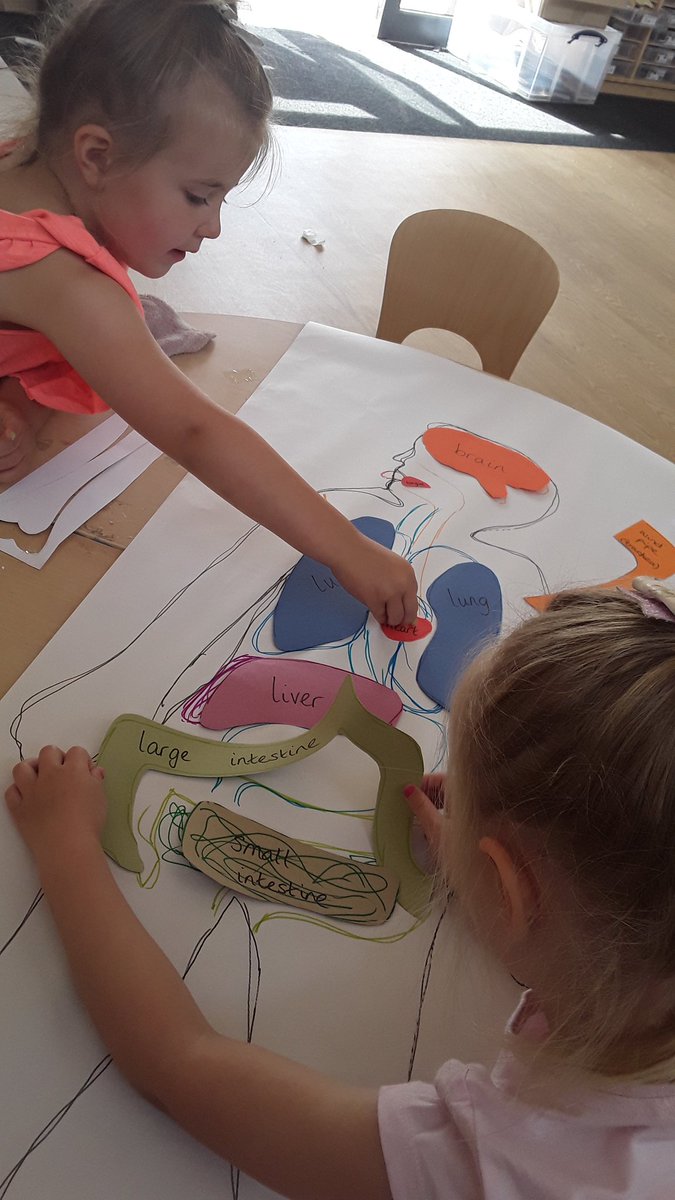 AshbridgeMaxy's tweet photo. Problem solving, discussion and trial and error. After showing an interest in what's inside our body, Squirrels used the organ outlines to match where everything goes! #EYscience #EYtalking @NDNAtalk #childrensinterests #curiosity https://t.co/cMXvEjPuOd
