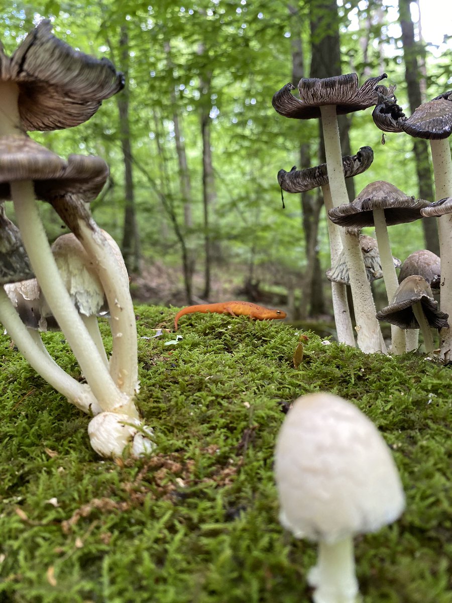 Chris Howey tweet media