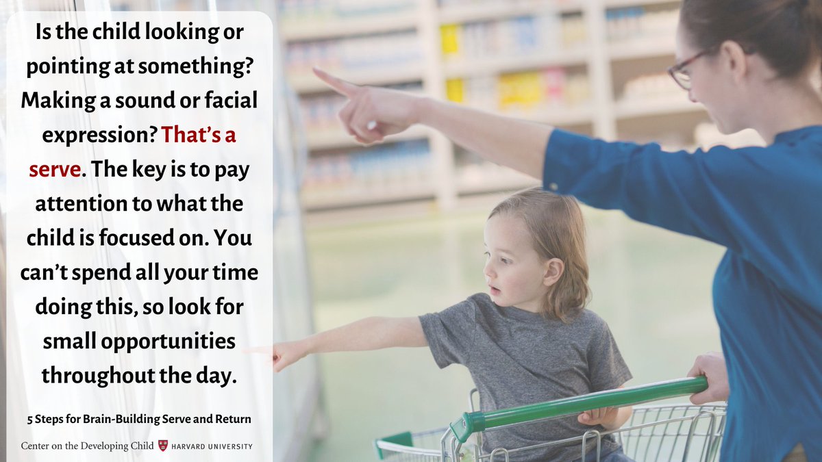 HarvardCenter's tweet image. By noticing serves, you’ll learn a lot about children’s abilities, interests, &amp;amp; needs. You’ll encourage them to explore &amp;amp; you’ll strengthen the bond between you. #ServeAndReturn #ParentingMonth
View our 5 Steps for Brain-Building Serve and Return Guide developingchild.harvard.edu/resources/5-st…