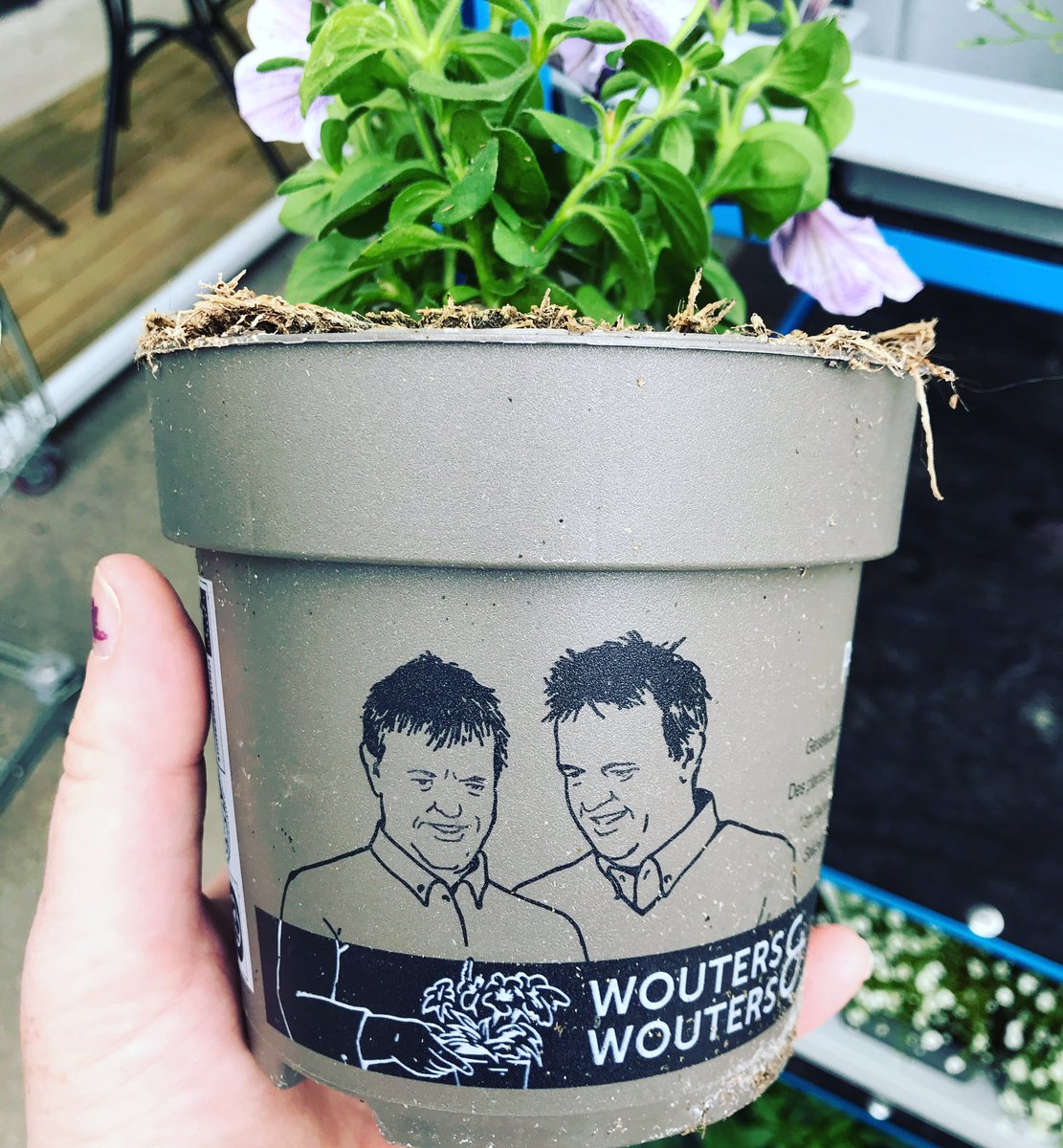mrs_royle1's tweet photo. I know @antanddec are great at most things but I wasn’t expecting them to be green fingered 🥰 https://t.co/YQ4CpJyNLD