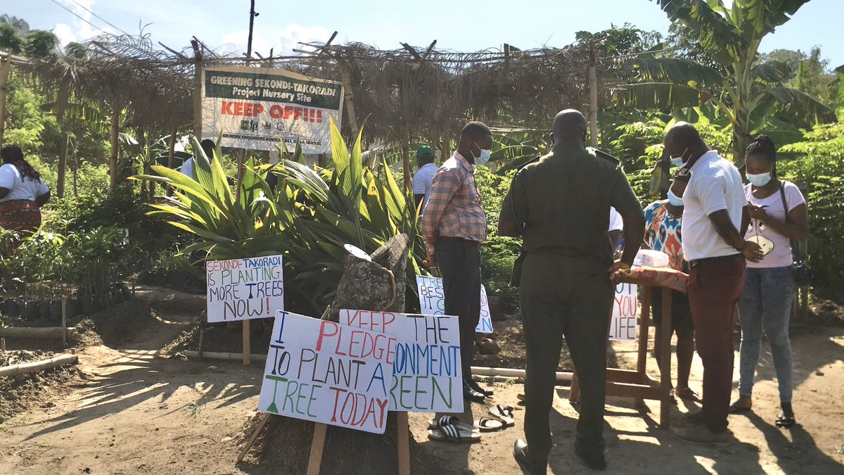 GoshenGlobal's tweet photo. In fulfillment of an earlier promise, #GGV in collaboration with #STMA and #EKMA distributed fruit tree seedlings on Tuesday, 8th June, 2021 in Sekondi-Takoradi as part of climate change mitigation strategy and addressing food security issues among urban dwellers.
#USFSprojects https://t.co/XfVZyCfqac