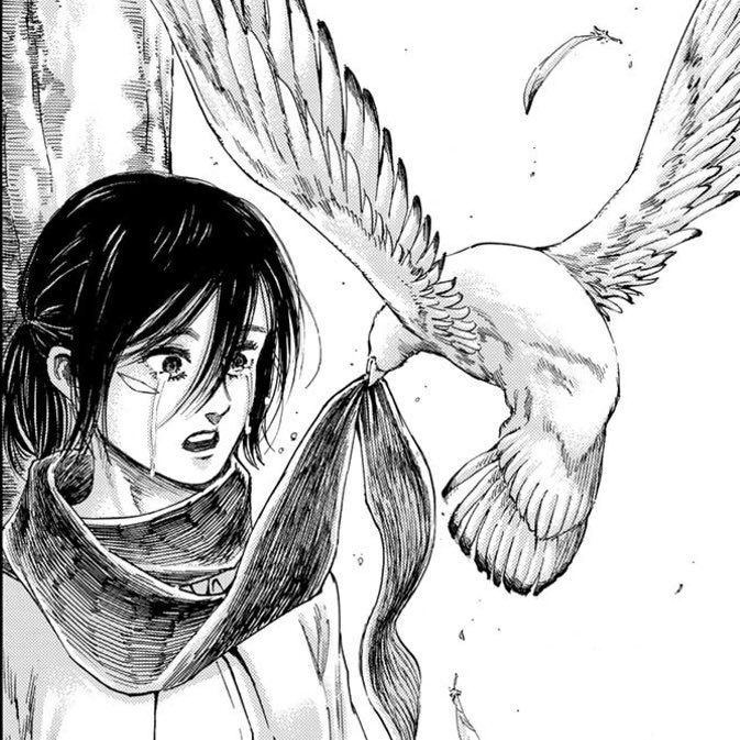 Kyle Anime Scouter Pa Twitter The Bird That Often Appeared In Aot Is Called Parasitic Jaeger Which Is The Same Pronunciation As Eren S Name So This Bird Was Symbolizing Of Eren Attackontitan