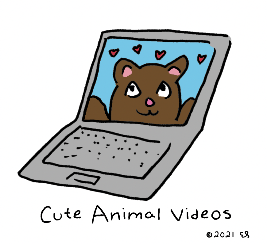 NiceThingArt's tweet photo. #NiceThing- Cute Animal Videos https://t.co/Oa9SAsH6AC