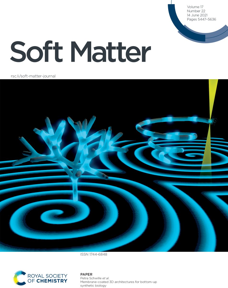 Membrane-coated 3D architectures for bottom-up synthetic biology†
Hiromune Eto et al., <a href="/MPI_Biochem/">Max Planck Institute of Biochemistry (MPIB)</a>, <a href="/HiromuneEto/">Hiro Eto</a>, pubs.rsc.org/en/content/art…