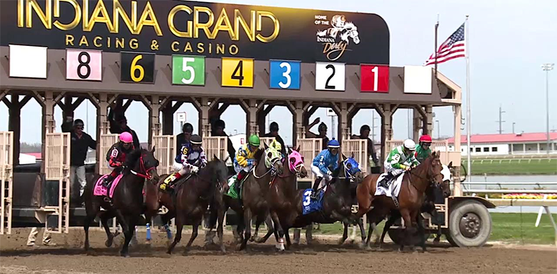 RacingWinning's tweet image. Get your $20 Numerology Report at NO COST today for Indiana Grand! Best of Luck to Everyone! racingnumerology.com/freeracingsele… #HorseRacingTips #Horseracing