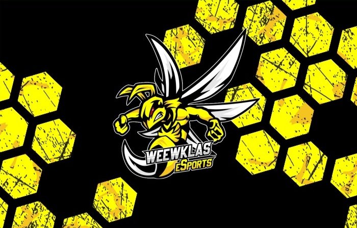 Jugadores Defensas de clubes pro sin equipo o que tengan pensado cambiar de aires , vamos ha hacer grandes cosas juntos🔥

WeewKlas esta de moda🐝

<a href="/AyudasCPro/">Ayudas Clubes Pro</a>
@AyudanteCPro
@fichajesclubs
<a href="/_chocolate3000/">AYUDAS FIFA CHOCO3K🐦</a>
@AyudaVFO
<a href="/ClubesProAyudas/">CLUBES PRO AYUDAS (CPA)</a>
@pro_fichajes
<a href="/FichajesAyudas/">Ayudas Fichajes</a>
@EstoyDeAyudas