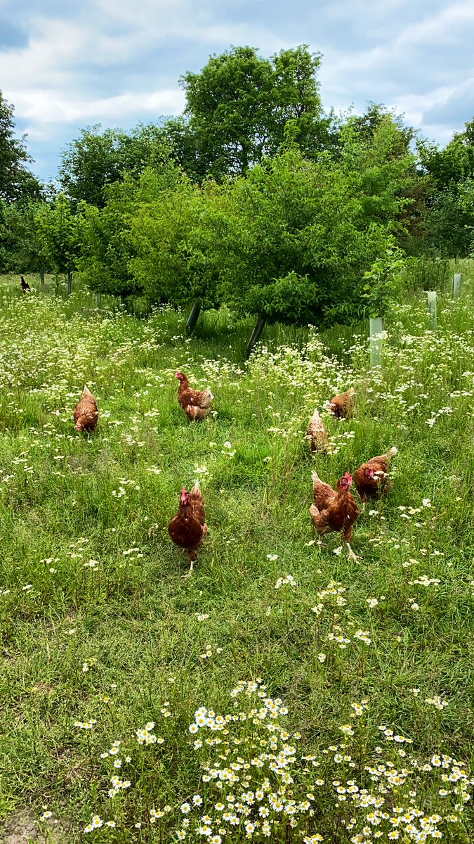 Girls enjoying natural cover provided by the trees 👍