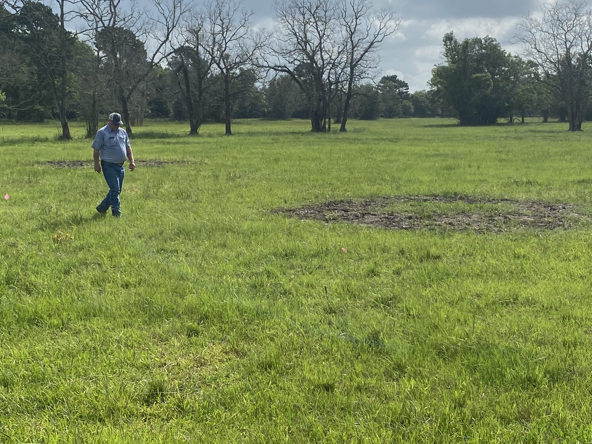 JeffClarkPMDS's tweet photo. Wonderful field day training with @TexasDeptofAg and @HintonRachel64 this morning. DuraCor Herbicide @CortevaPastures broadleaf control and great ranchers! https://t.co/LhZd0hsZP5
