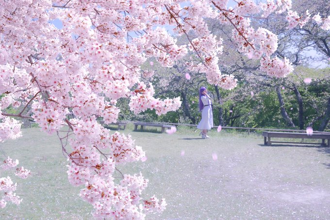 Twitterのコスプレ画像43