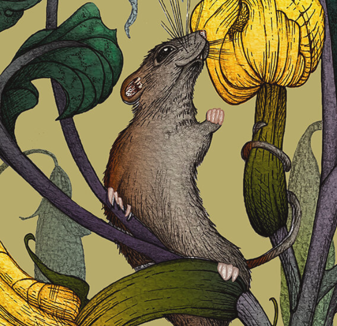 ACID_tweets's tweet photo. Wishing a warm welcome to #ACIDmember @Nuthatch_Grey who create gorgeous #designs for fabrics, wallpapers and interiors. Working in pencil and watercolour, taking inspiration from the natural world to bring the beauty of nature to your home. Take a look https://t.co/9UV9GnUsMM https://t.co/qlgmGJxJjX