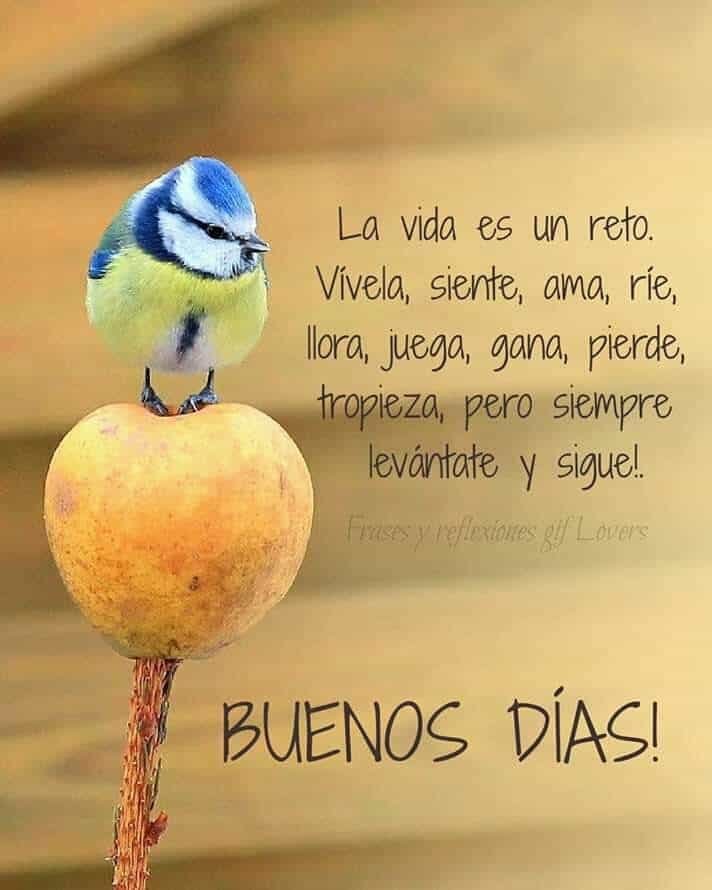 Guadalupe (@murilloguadalup) on Twitter photo 