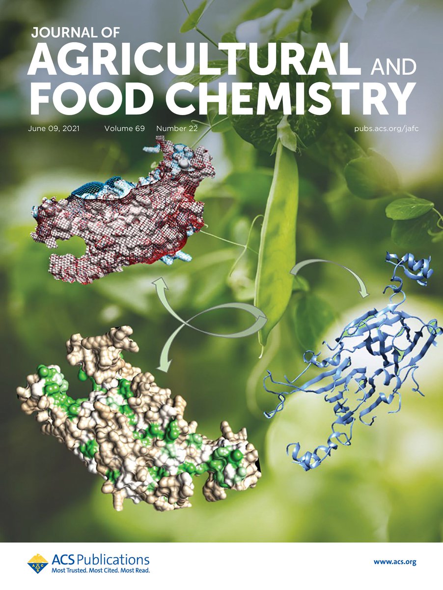JAgFoodChem's tweet photo. Issue 22 of #JAFC is now online!
Our front cover this week shows work by Associate Editor Jozef Kokini about cold #denaturation of proteins, using bioinformatics and thermodynamics to gain a mechanistic understanding of pea protein as a case study https://t.co/Vdgrv7XJEh https://t.co/YA9IuIMfS9