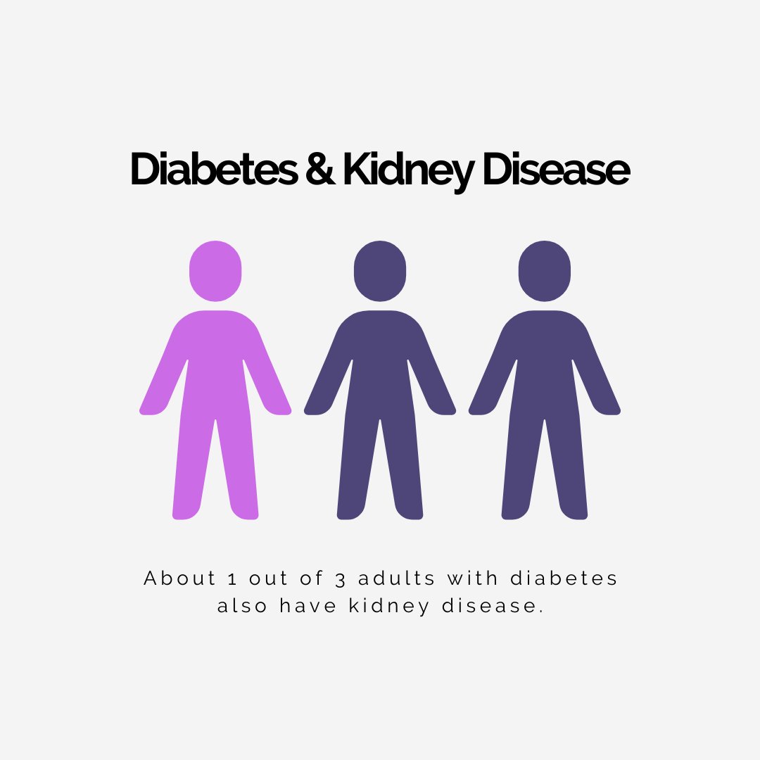 Did you know diabetes is one of the leading causes of kidney disease? About 1 out of 3 adults with diabetes has kidney disease. Having high blood sugar without proper management can damage the blood vessels in your kidneys leading to kidney damage.