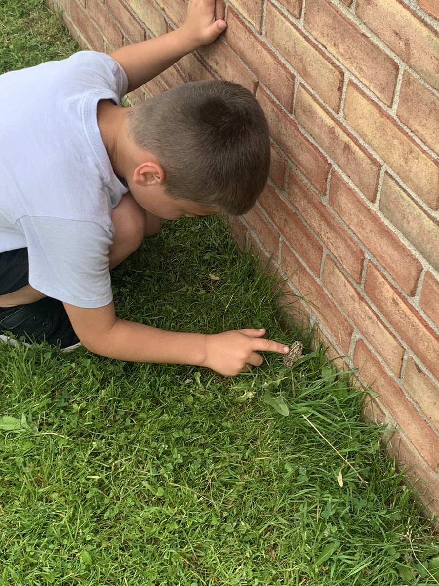 We made a bumpy friend at recess today. 😍🐸