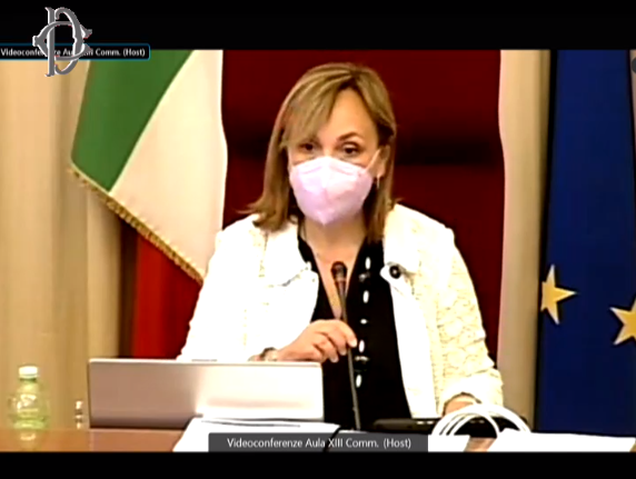 Montecitorio's tweet photo. Lavoro femminile in agricoltura, in Commissione #Agricoltura audizioni @CooperativeITA, #AnapiPesca, #Uecoop, @FederpescaIT, Impresa Pesca– @coldiretti, Unci – Dipartimento pesca, Associazione mediterranea acquacoltori e @APIOfficial1. Diretta: https://t.co/mQYCQykSCd #OpenCamera https://t.co/SK1pQbYBWM