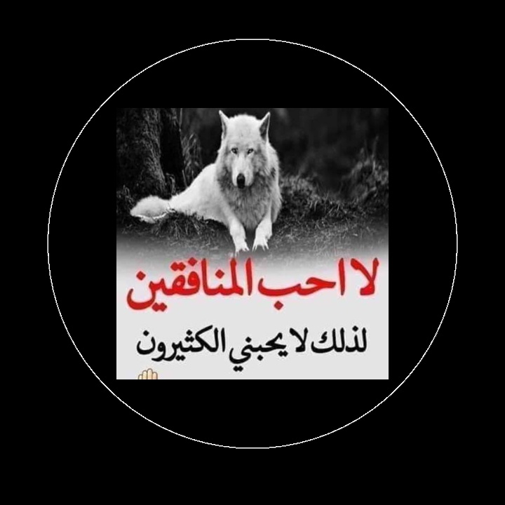 #صورة_ملف_شخصي_جديدة