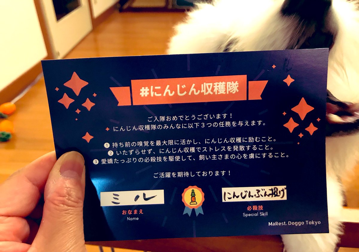 にんじん収穫隊 にんじん収穫隊