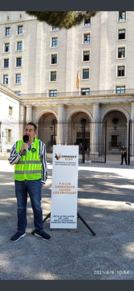 UGAMA_'s tweet photo. Lobo protegido?
Y a los ganaderos, quien nos protege?
Estamos frente al @mitecogob para decir NO a la protección del lobo! https://t.co/FScxsnYI6s