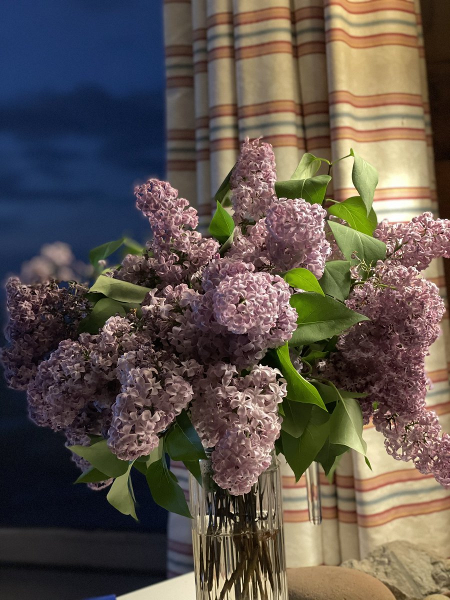 Mid week flashback to a weekend in NS ☀️.  Beach bonfires, lilacs and representing North and South Esk Elementary ❤️