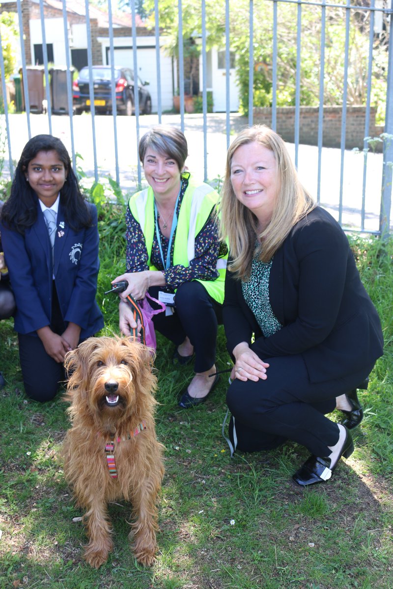 VarndeanSchool's tweet image. Introducing Margot! Margot may have spent the last few years keeping Mr Anstiss company at @felphamcc but now she&apos;s warming the hearts of all our students at Varndean. Margot can be found in Angelou base with Mrs Anstiss so feel free to knock for a cuddle!