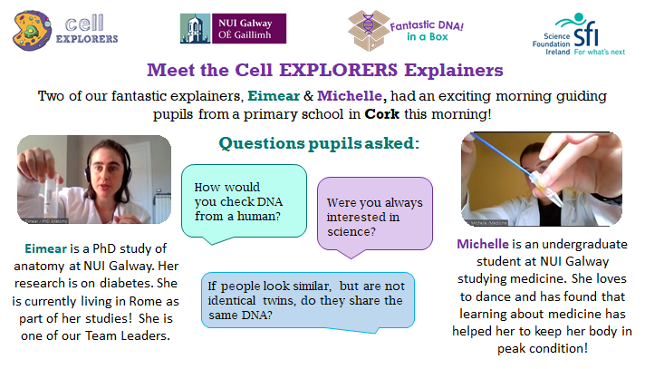 Cellexplorers's tweet photo. Two of our amazing #CellExplorers explainers had a great time guiding pupils in Cork this morning through #FantasticDNAInABox! As well as extracting DNA from a banana, pupils got to learn more about these 2 #RoleModel #Scientists!
#BelieveInScience #ScienceIsForEveryone https://t.co/2s36AauiGh
