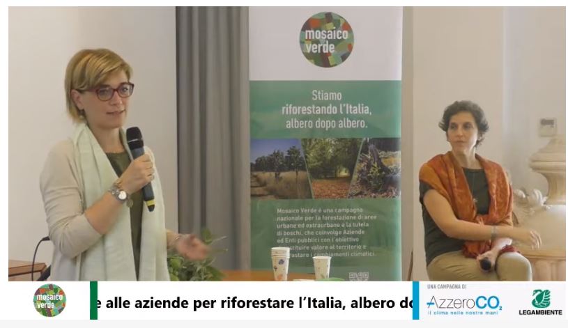 Diventa sempre più necessario rendere le città luoghi capaci di affrontare la #crisiclimatica. Ce lo ha ricordato il temporale di ieri a Roma che ha inondato la città di pioggia e disagi ed ha persino allagato un asilo. Ecco perché servono più #alberi #MosaicoVerde